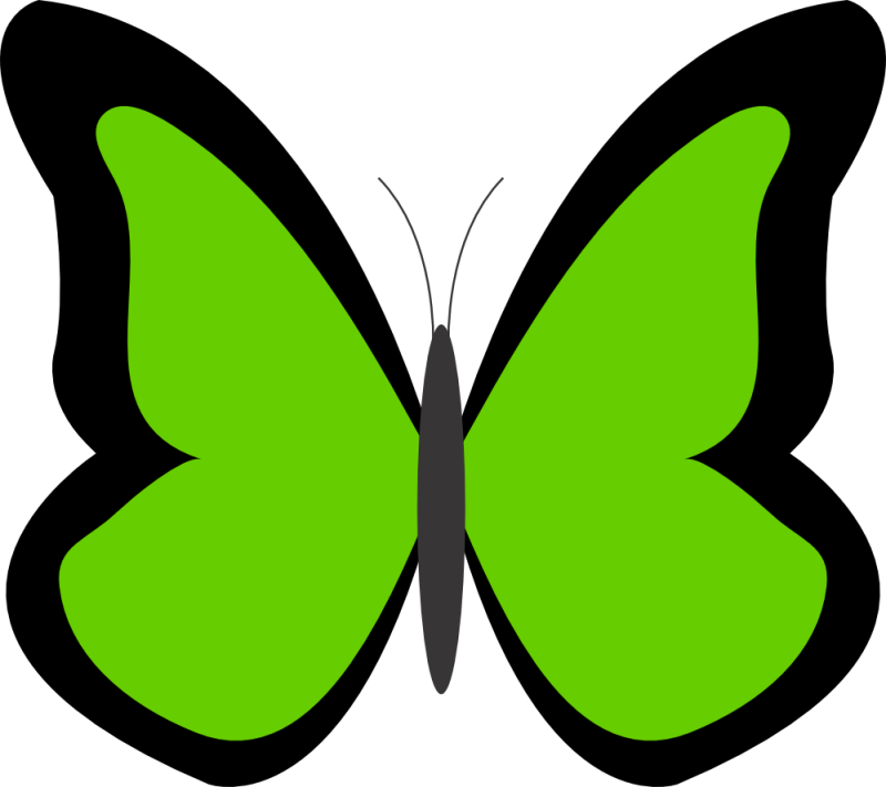 Butterfly Green-ClipartLibrary