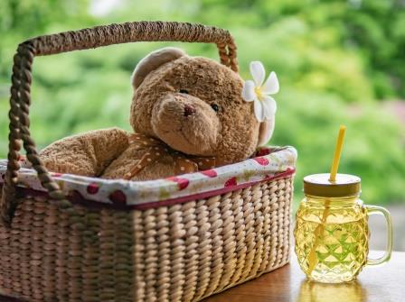 Teddy Bear Picnic-copyright wachiwit/AdobeStock.com