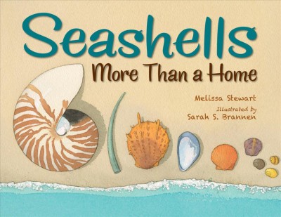 Seashells More Than a Home Book Cover