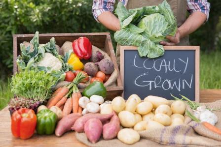 Farmers Market-AdobeStock-c WavebreakMediaMicro compressed