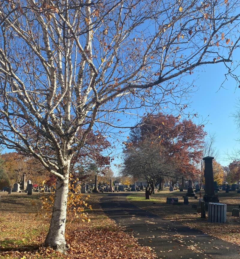 St. James Cemetery (3)