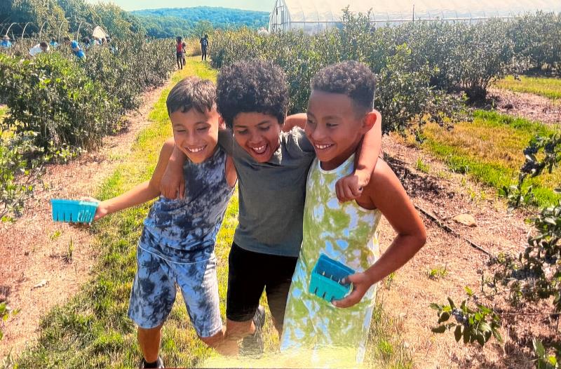 3 boys picking berries