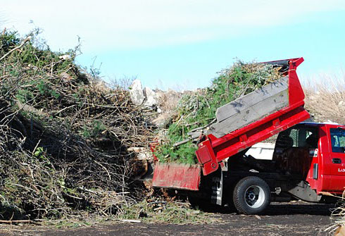 brush disposal - source -Kurtz Brothers