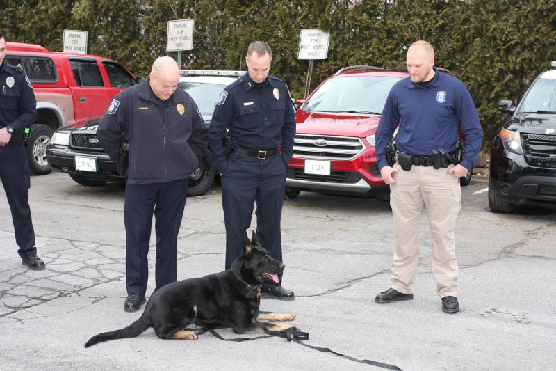 Handler and Group with K9