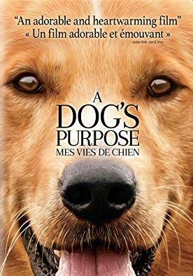 Dog's Purpose DVD Cover-Universal Pictures