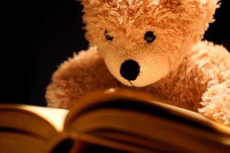 Teddy Bear Reading-copyright Stefan/AdobeStock.com